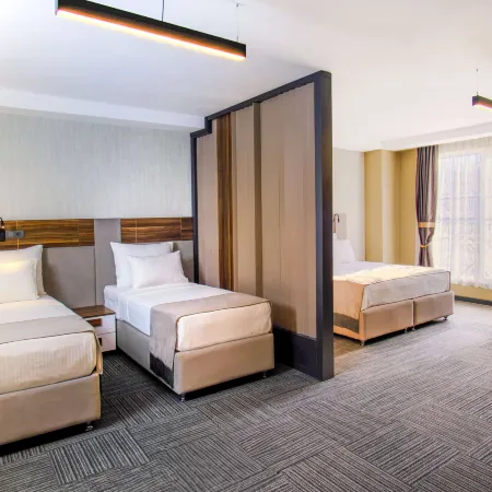 Pereira Hotel Samsun