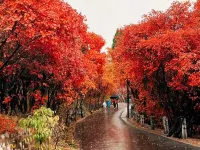 Wanjin Business Hotel Hotels in Jiaohe