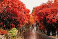 Wanjin Business Hotel Hotels in Jiaohe