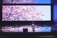 Hotel Indigo HAKONE GORA by IHG - Thermen