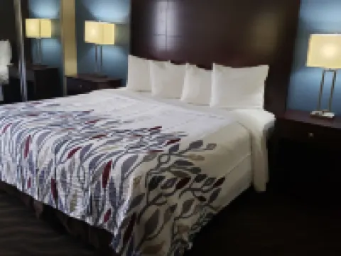 艾倫港紅屋頂酒店 西巴吞魯日縣酒店