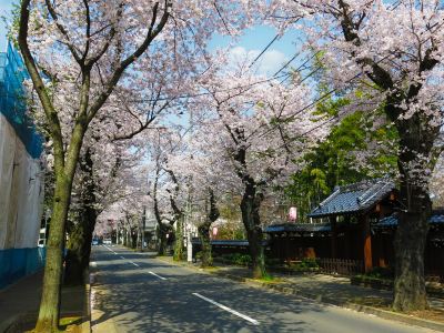 ホテル周辺 松戸グランドホテルの写真