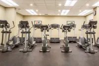 Holiday Inn Toronto International Airport by IHG - Gym