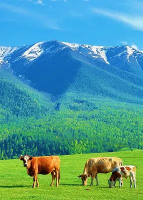 LeyeLoireLoire Designer Homestay (Hemuqiao Store)