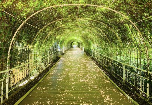 피너클 보라카이 수영장