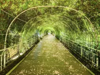 Pinnacle Boracay Hotels near Friday Beach