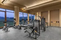 HOTEL INDIGO NALATI - Gym