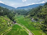 Rice Field View Homestay
