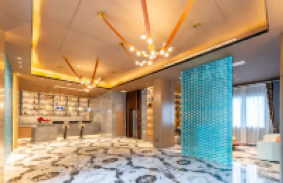 Pujiang Vshe Hotel (People's Square)