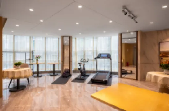 TrueGo Hotel(ShenZhen FutianPort Convention and Exhibition X Center)