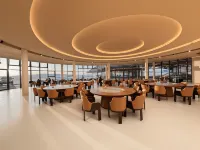 Volcano-In Hotel of Arrivals