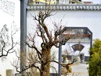 山海關58號民宿（長城文博店） 鄰近孟姜女廟的酒店