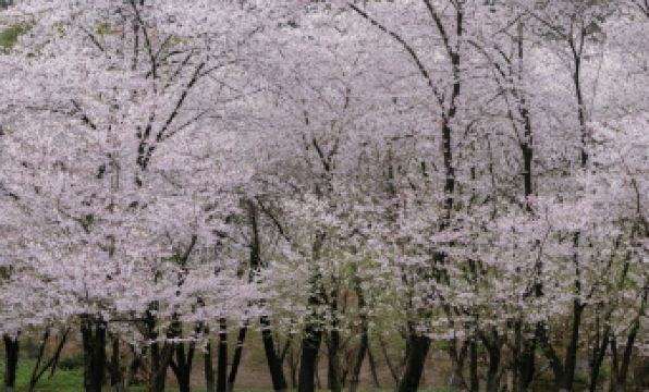 Pusen Lanting ShaoXing