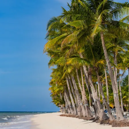 Bohol Beach Club