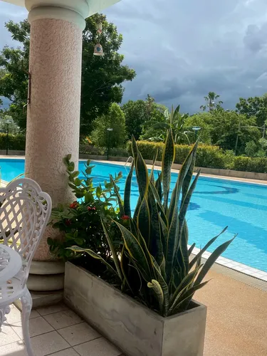 รูปภาพของPalmspring Apartment