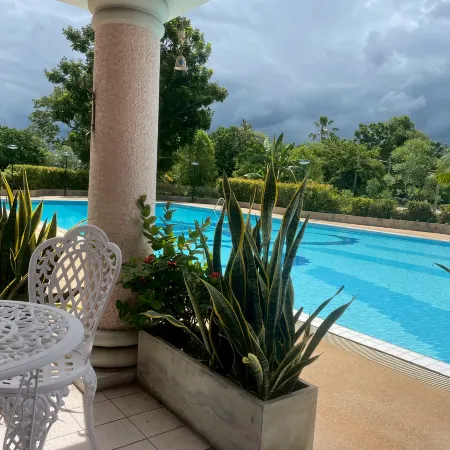 Palmspring Apartment