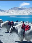 GEM Hotel (Wanda Plaza Kashgar) - Mountain view