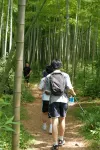 Mogan Original Homestay - vue sur la montagne