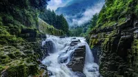 Ting Miao Homestay - เปิดใหม่