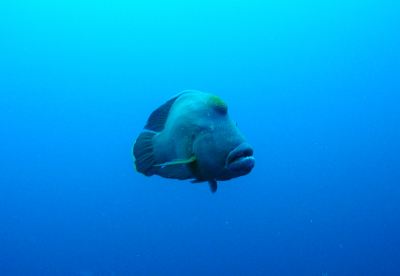 施設外観 バンドス モルディブの写真