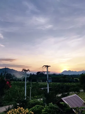 รูปภาพของไร่ปาริชาติ