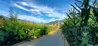 大理山間境語民宿（賓川雞足山景區店） - 山景