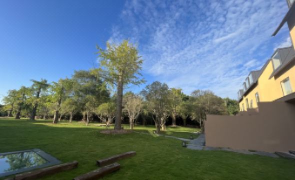 Shanghai Xingshe Camping Homestay