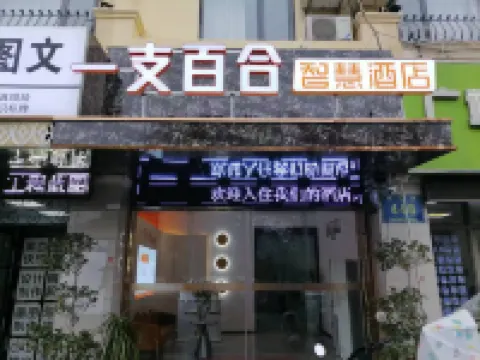 一支百合智慧酒店（明珠廣場安醫二附院店） 合肥酒店