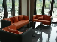 Shantouzui Theme Homestay Hotels in HongJiang