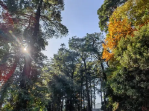 Mountain and Courtyard Homestay