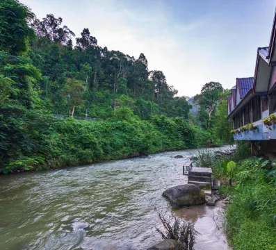 ห้องวิวภูเขา