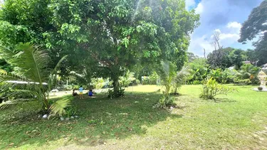 รูปภาพของ-20 Off Per Cent Luxury Mango Villa