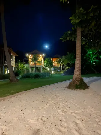 cay sao phu quoc