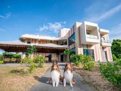 Pet Taitung Rainbow Maison Resort Hotel