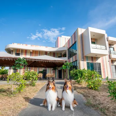 Rainbow Mansion Hotels near Beautiful coral museum