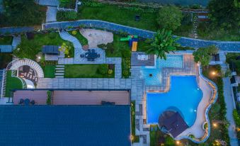 PALMETTO·Pool·Pampered Garden Meisu