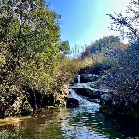 Charenju Homestay