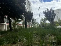 Borrman Hotel (Shannan Passenger Station) Отели рядом со станцией Шаннань Стейшн