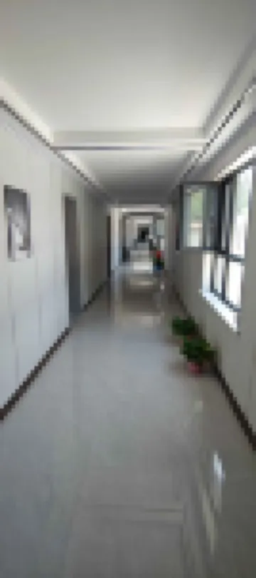 Shiguang Courtyard - Pet friendly
