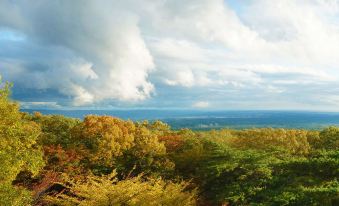 Wakaki Ryokan - Nasu Yumoto Onsen