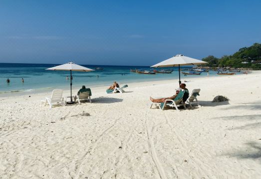 3. 벨라 비스트 비..