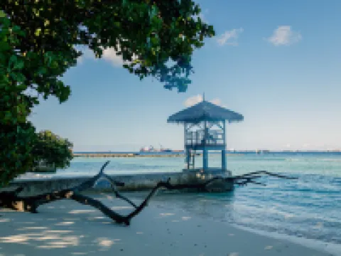 The Vinorva Maldives Hotels in Malé