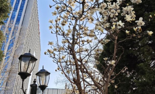 Beijing Chengbao Hotel (Beijing Sanyuanqiao Subway Station)