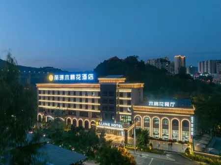 LIJING HOTEL Отели рядом с достопримечательностью «Datian Convention Relic Site»