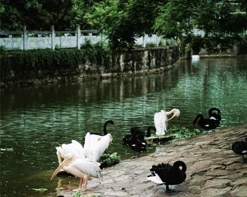 Dolanda LAB Hotel (Minsheng Road, Penshuichi, Guiyang) بالقرب من الفندق Photos