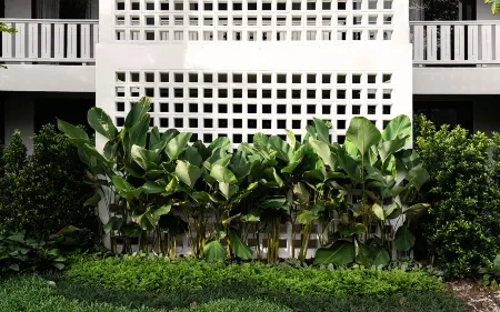 ザ・スプラッシュ コッチャーン