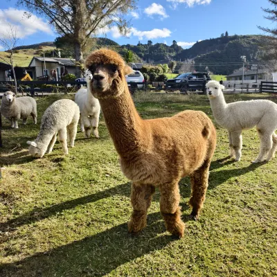 Hideaway of Rotorua Hotels near Agrodome
