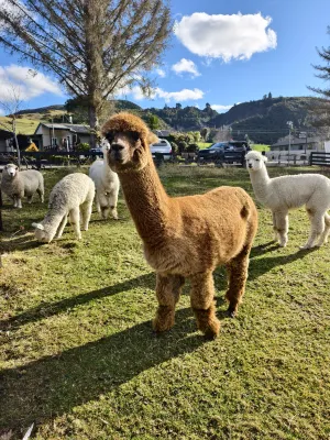 Hideaway of Rotorua Các khách sạn gần Agrodome
