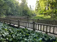 Jiangcheng Dingsheng Hotel - Mountain view