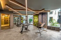 Sterling Palm Bliss Wellness Resort, Rishikesh - Gym
